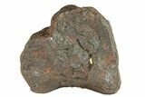 Canyon Diablo Iron Meteorite ( g) - Arizona #270769-1